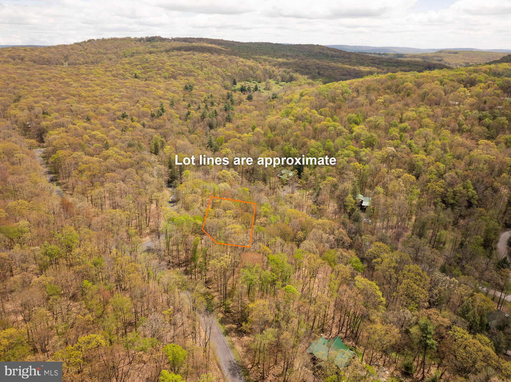 GALLATIN WOODS - Land