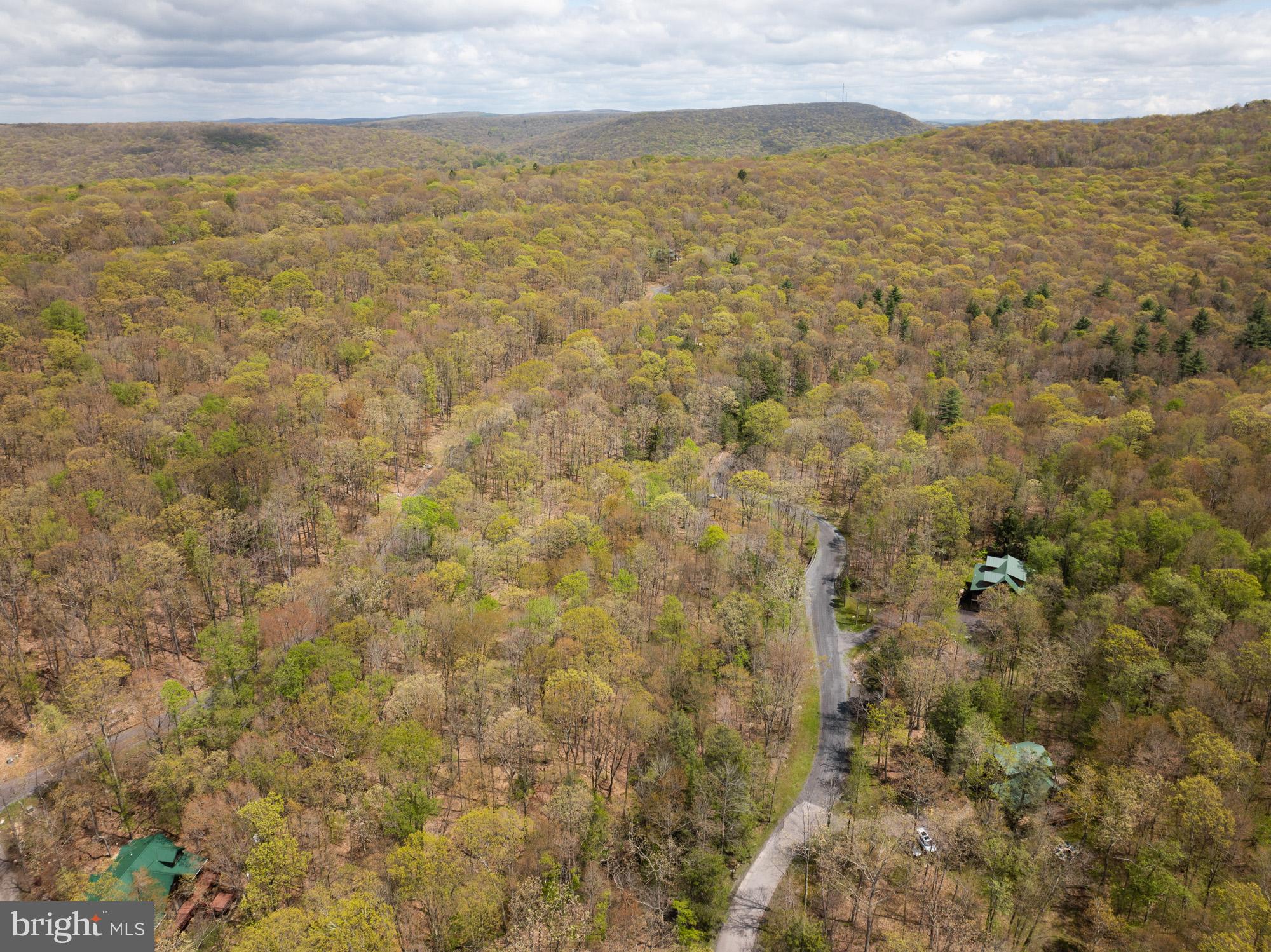 GALLATIN WOODS - Land