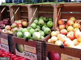 BRAMBLETON TOWN CENTER - Residential