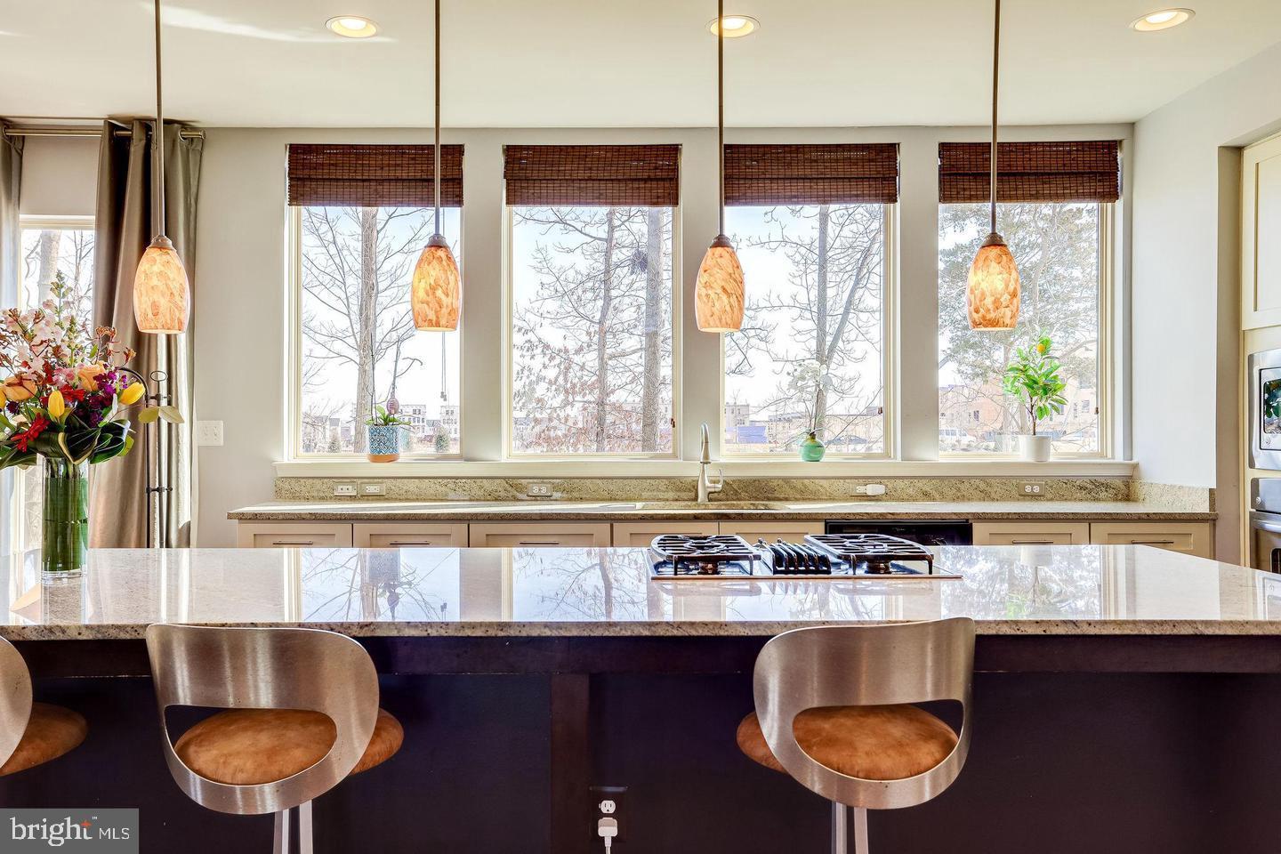 BRAMBLETON TOWN CENTER - Residential