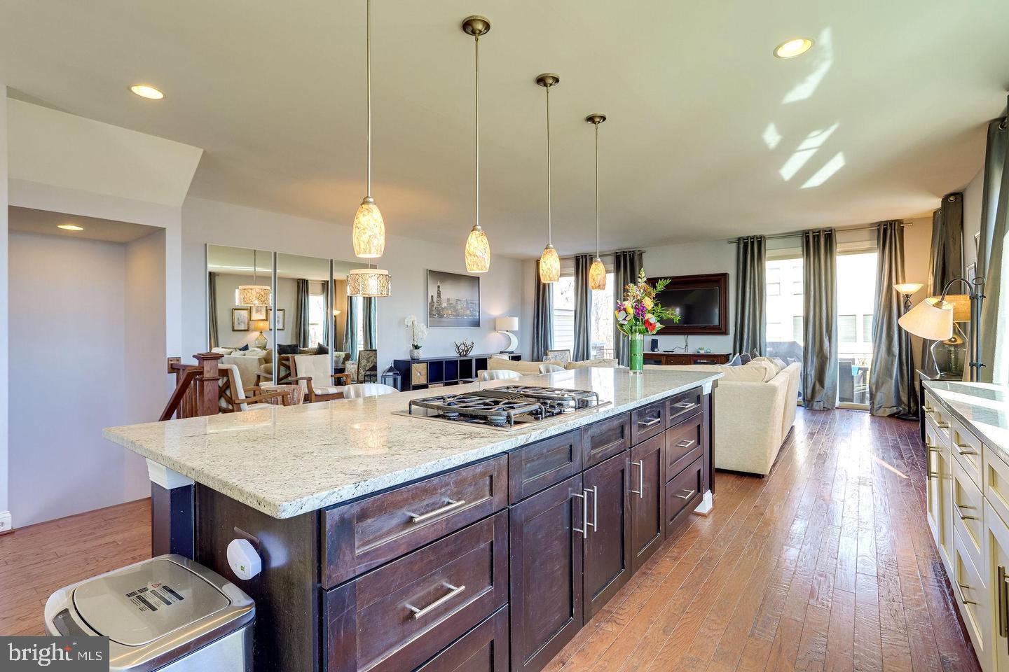 BRAMBLETON TOWN CENTER - Residential