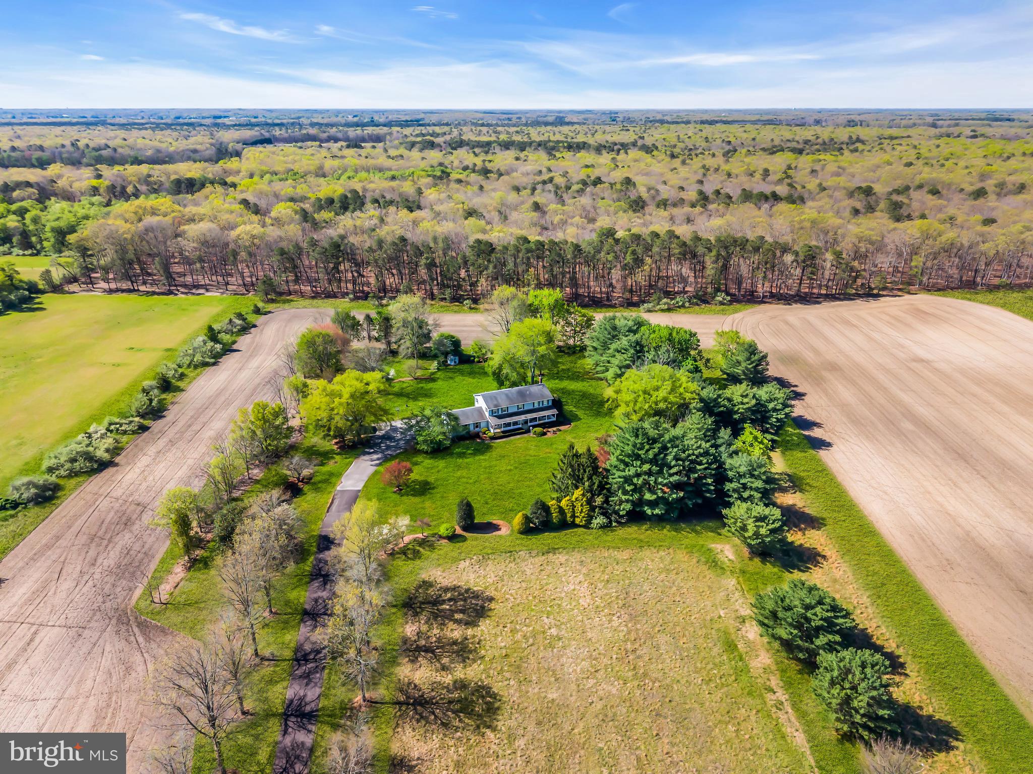 1217 CHEW ROAD