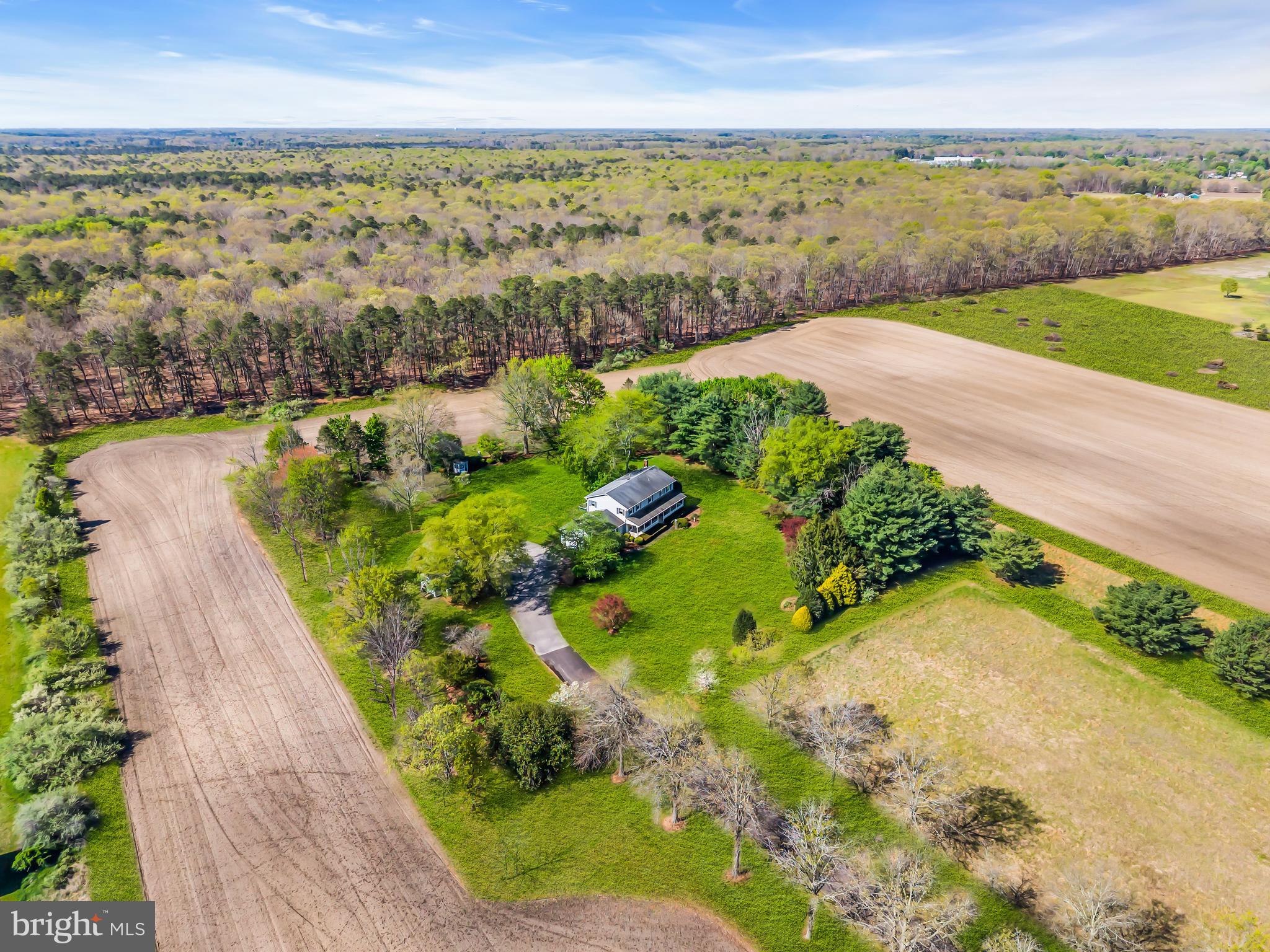 1217 CHEW ROAD