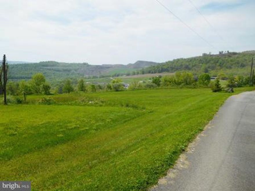 65.03 acres with a majestic mountain view. Excellent for building lots, farming, or just a mountain retreat.