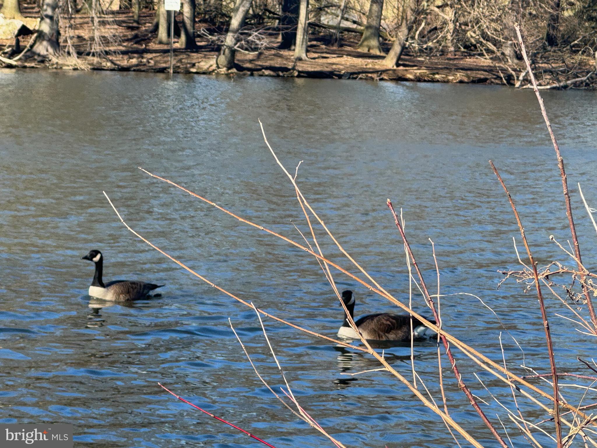 COURTS OF WHETSTONE - Residential