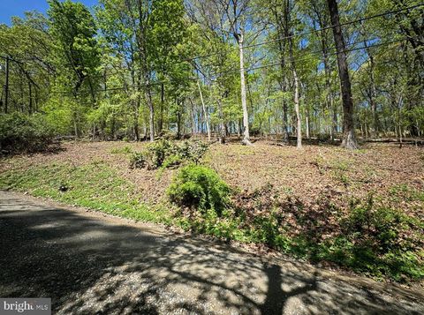 Vacant Land For Sale - LOT 121 Timber Ln<br/> BLUEMONT, VA 20135