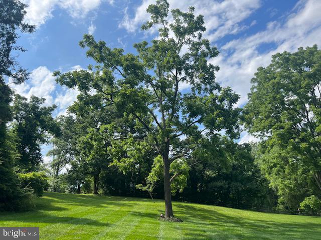 FOX HERITAGE - Residential Lease