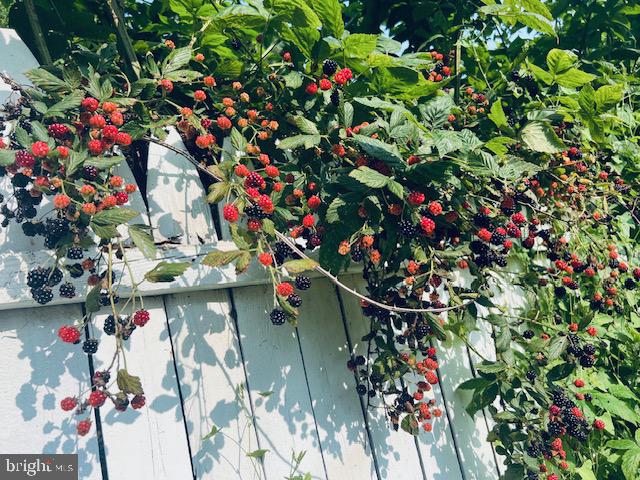 FOX HERITAGE - Residential Lease