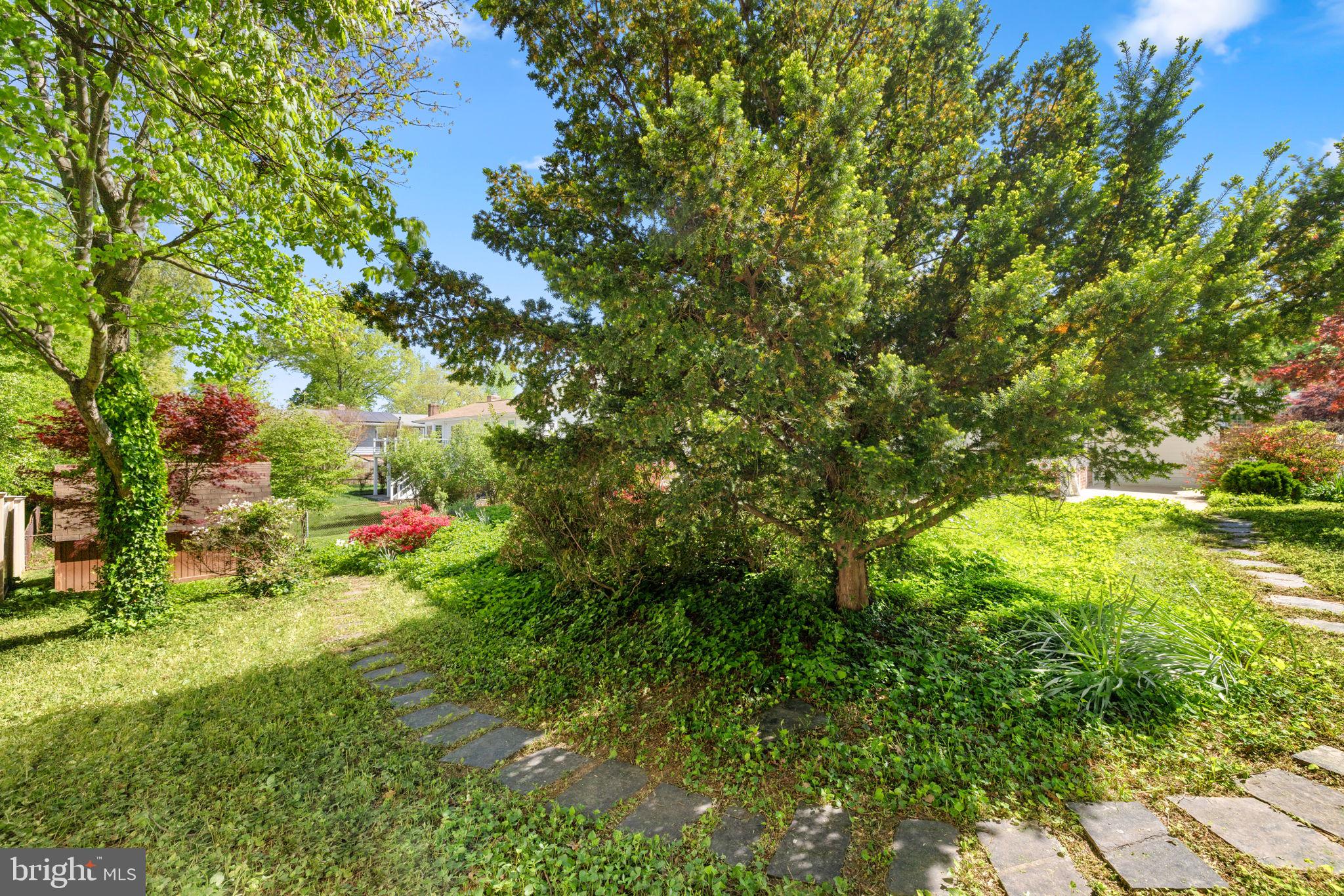 WEST SPRINGFIELD - Residential