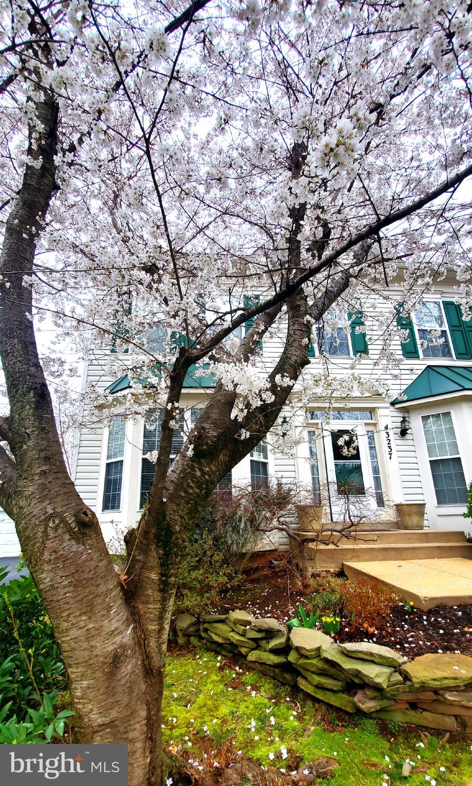 SOUTH RIDING - Residential