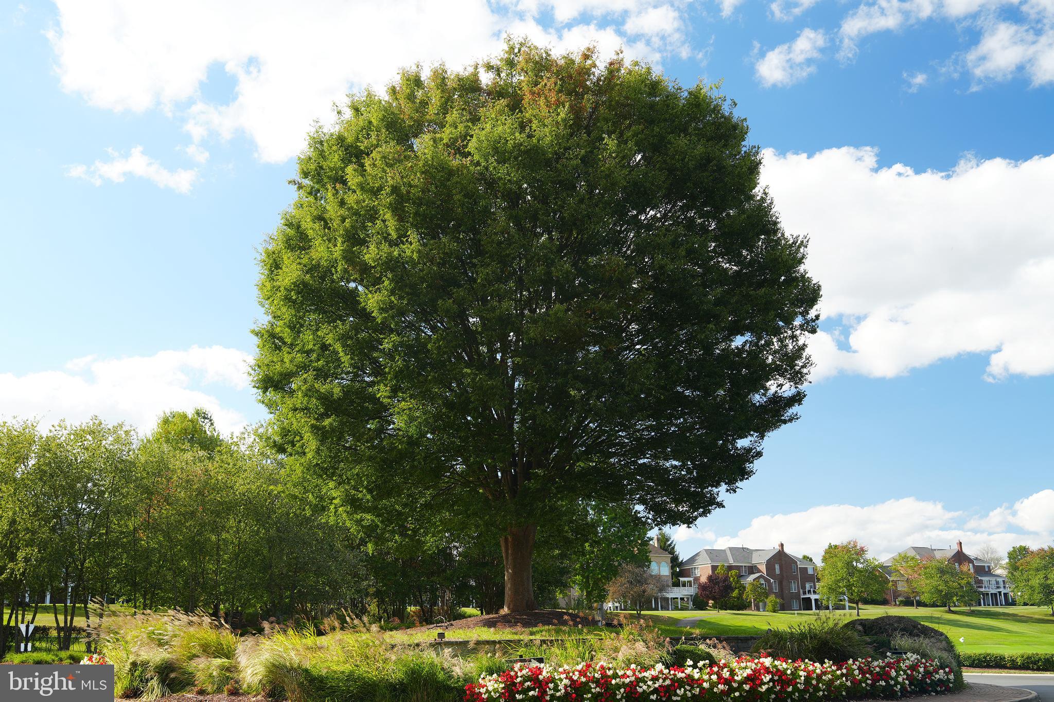 BELMONT COUNTRY CLUB - Residential