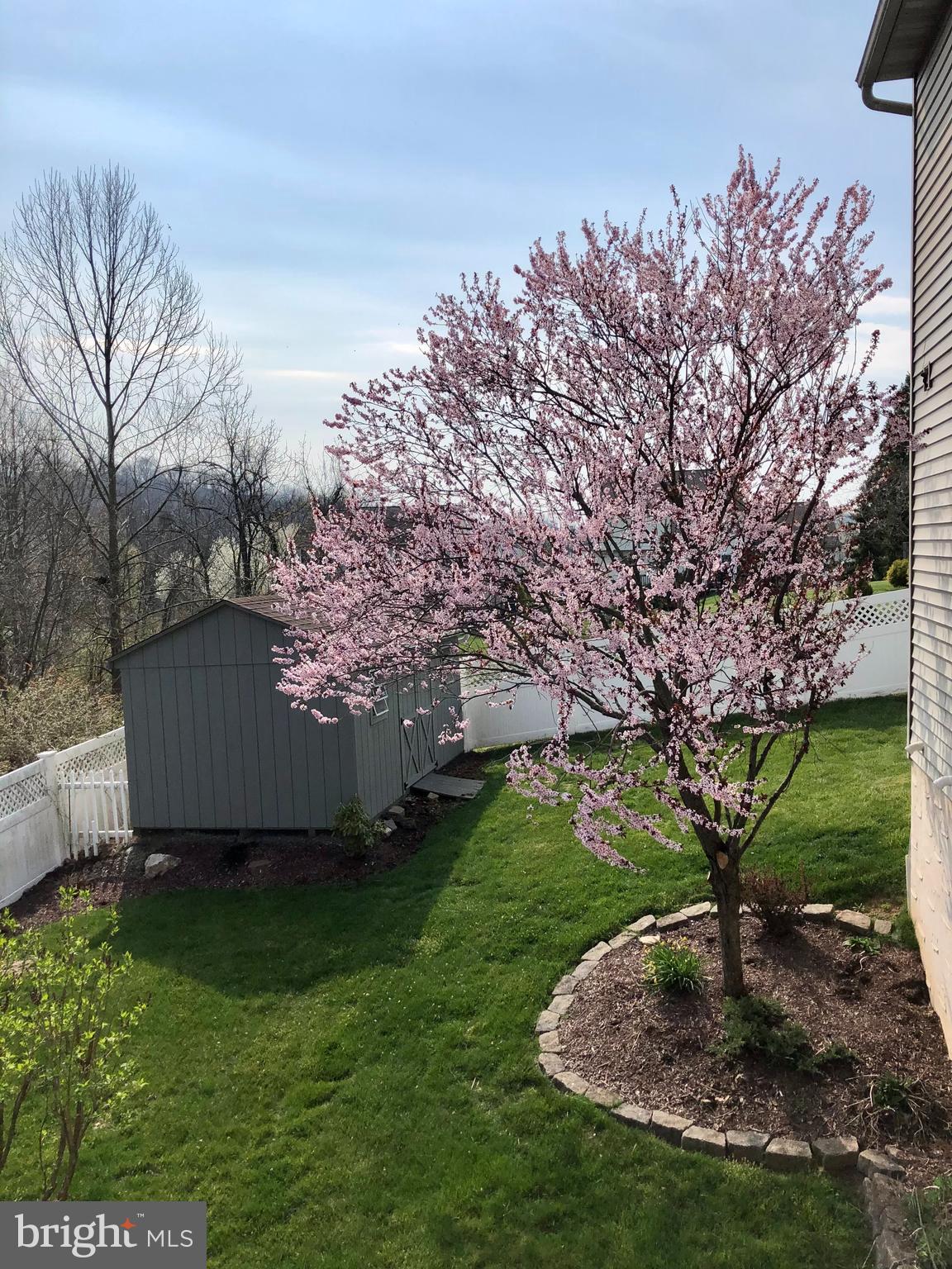 PATHFINDER MEADOWS - Residential Lease