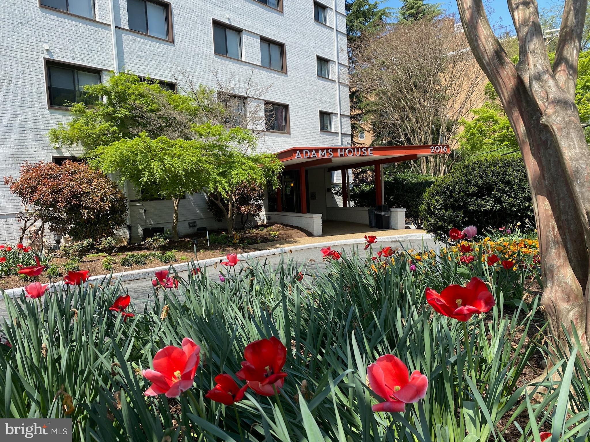 ADAMS HOUSE - Residential