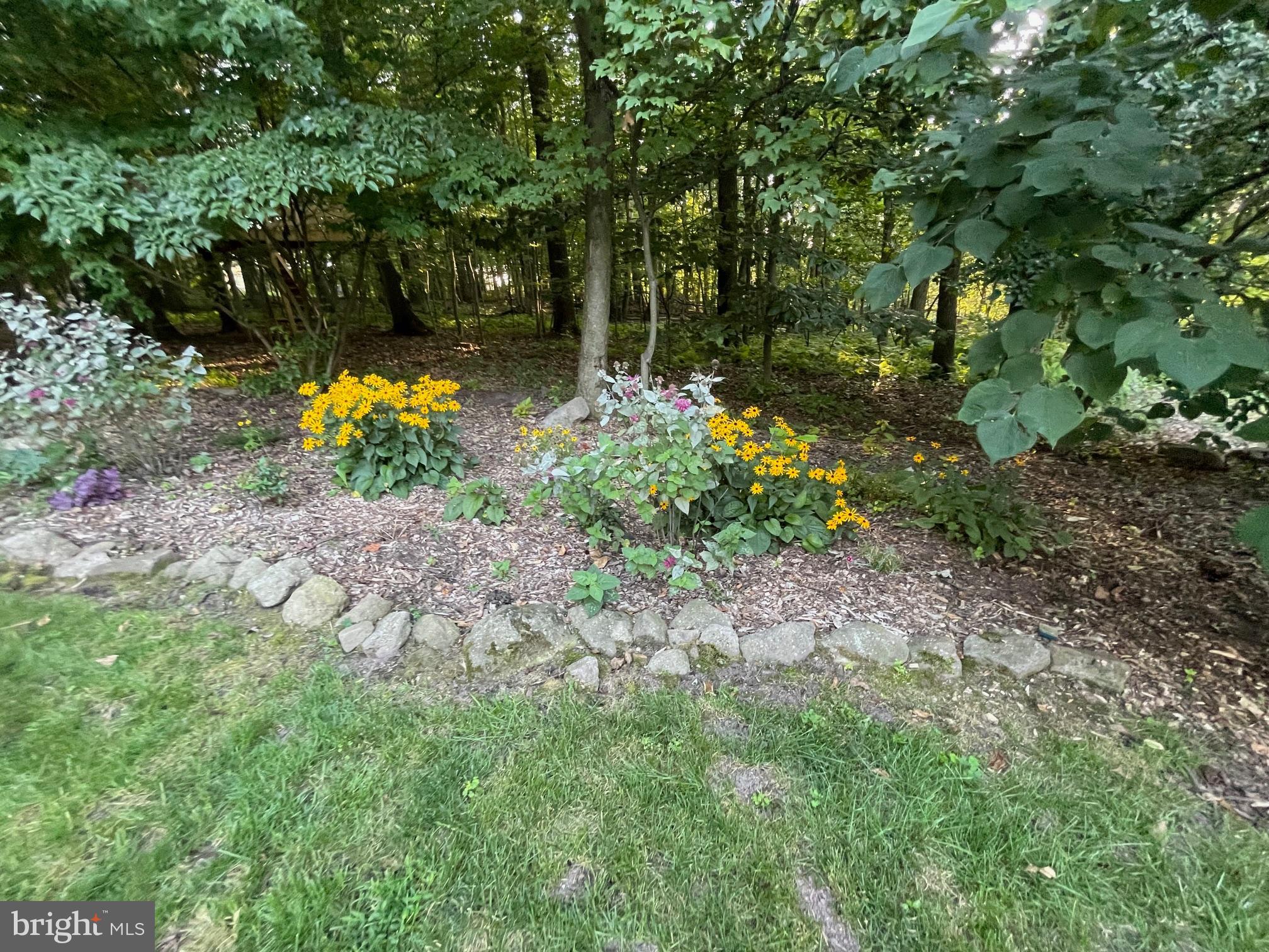 MIFFLIN WOODS - Residential