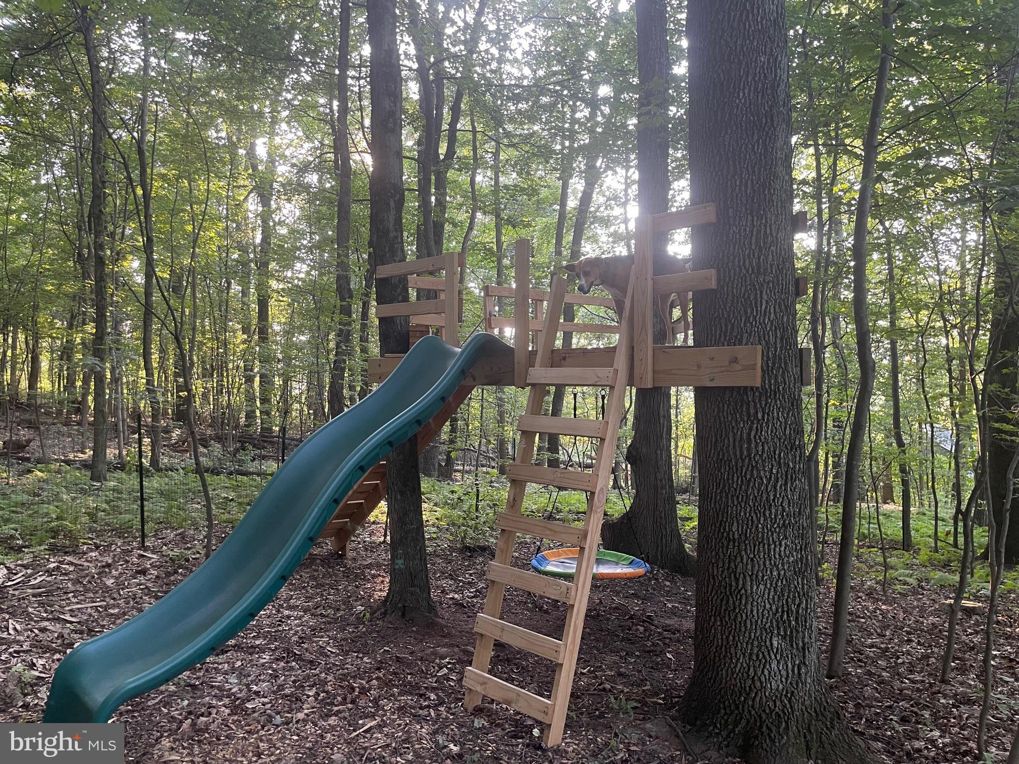 MIFFLIN WOODS - Residential