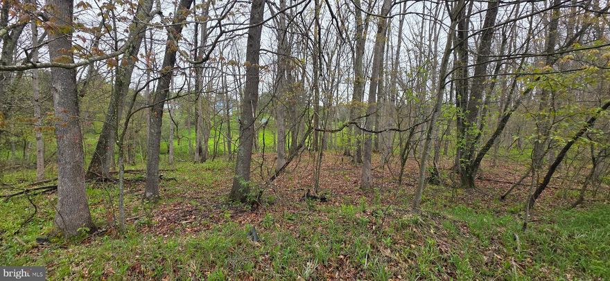 OVER-SIZED .83 acre building lot with loads of privacy. This lot is nearly triple the size of most Mt Lake Park building lots. Public sewer and water available, . Mostly wooded setting and overlooks a small stream. Adjacent to large tract of wooded land (13+ acres) that is owned by the Oakland Volunteer Fire Department.
