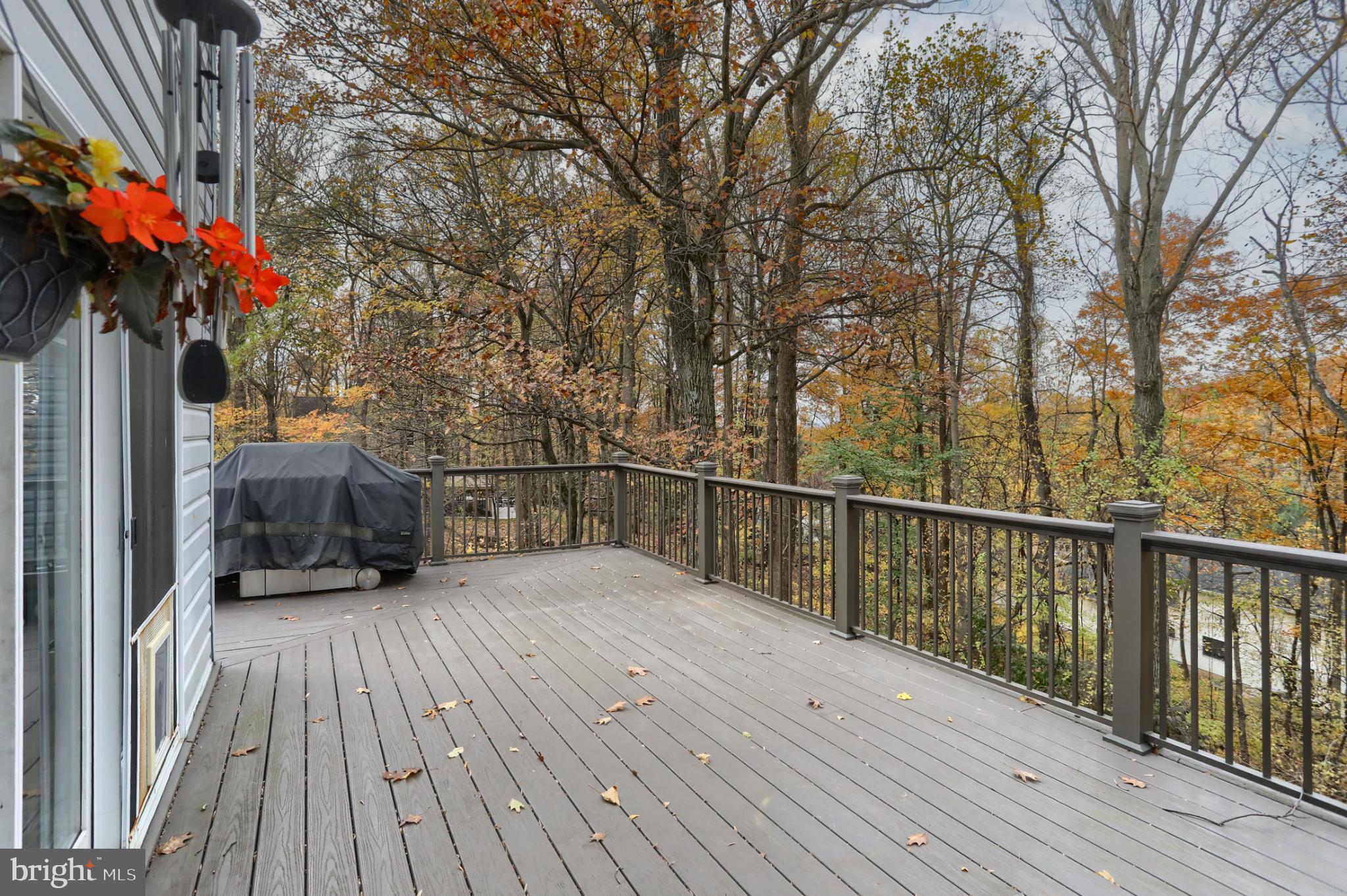 WALTON SPRING HILLS - Residential