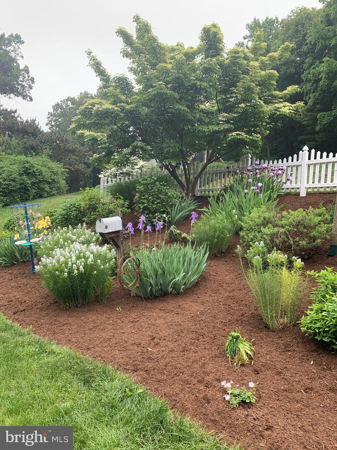 WALTON SPRING HILLS - Residential