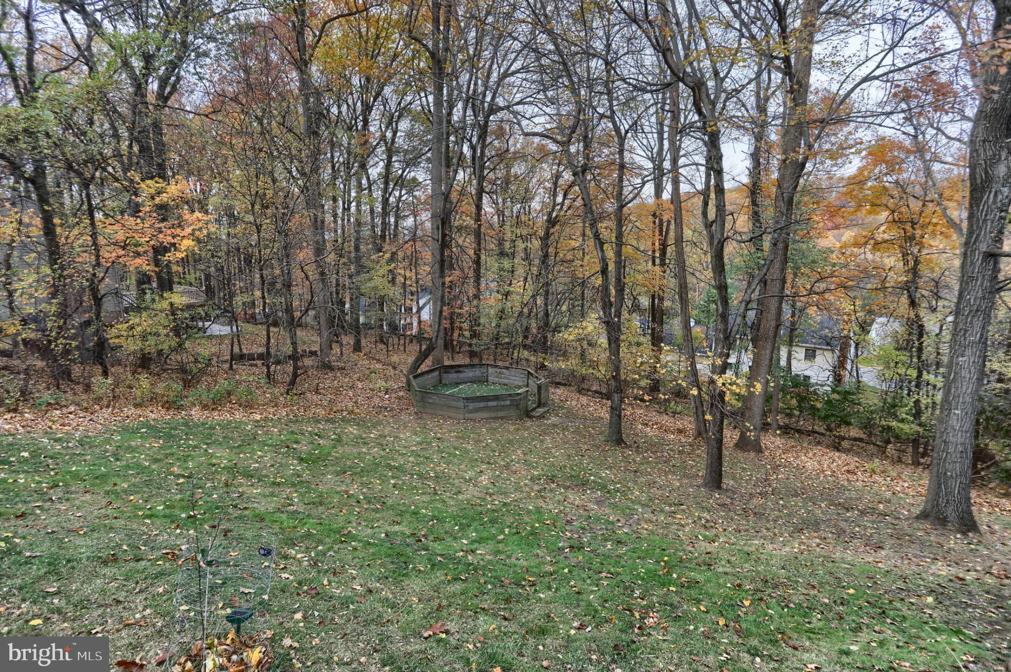 WALTON SPRING HILLS - Residential