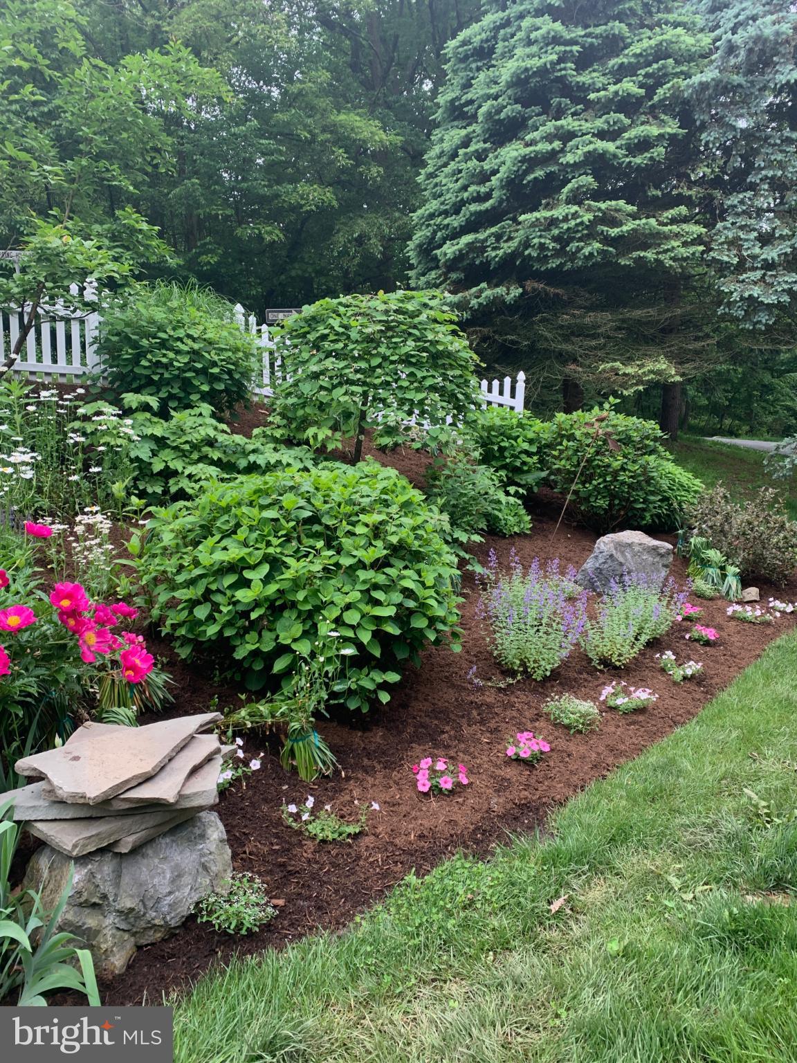 WALTON SPRING HILLS - Residential