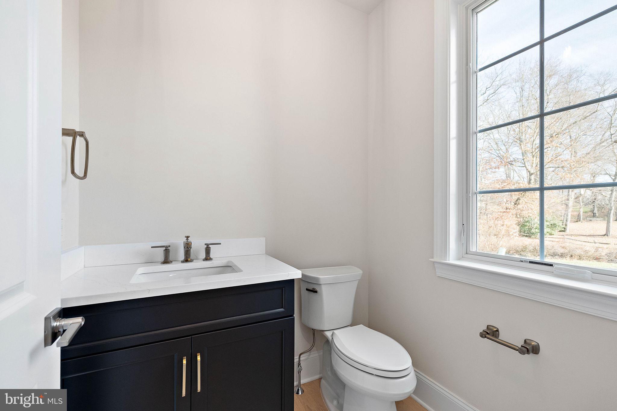 THE WOODS AT ROSE TREE - Residential