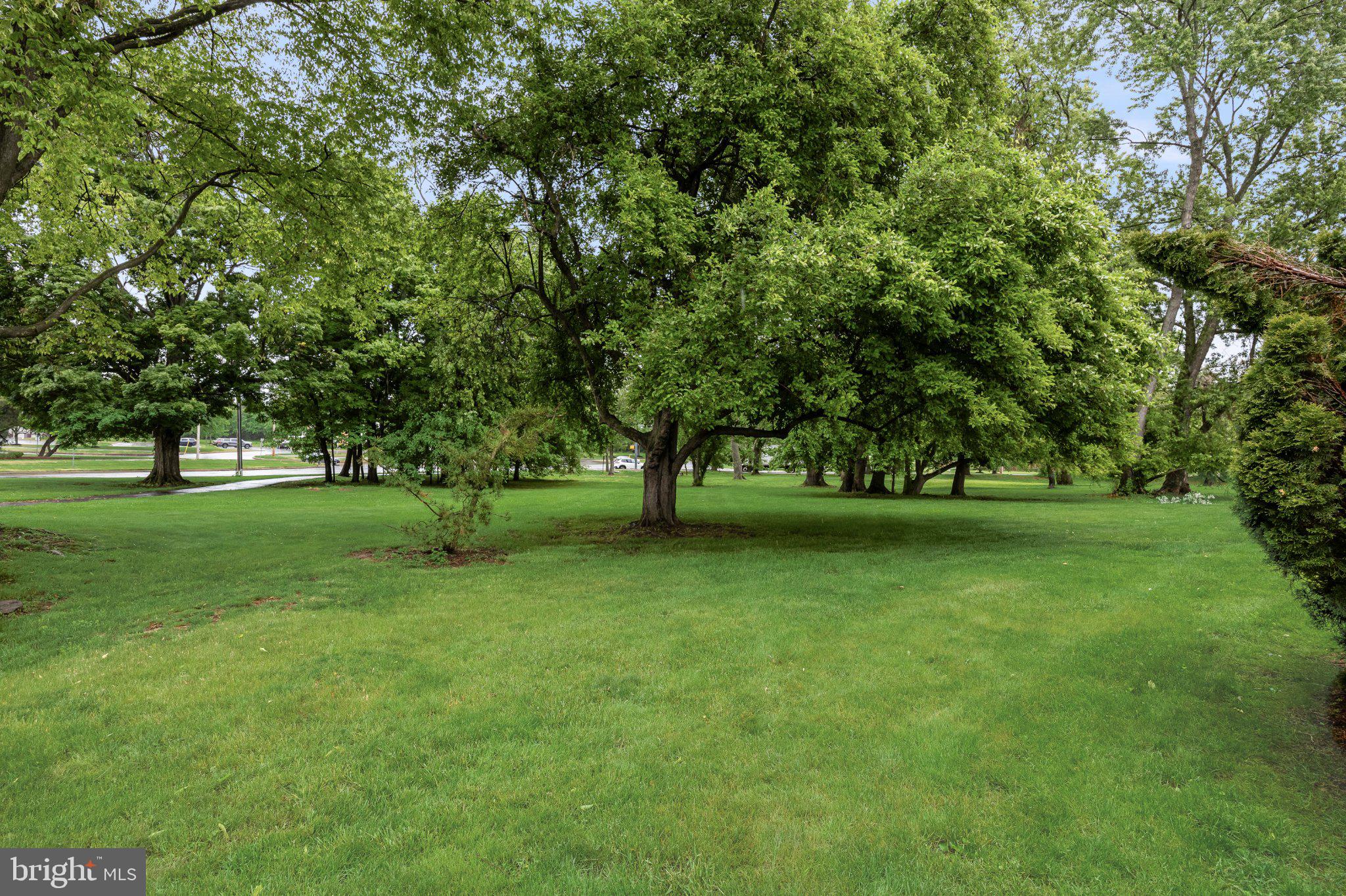 ROSE HOLLOW - Residential