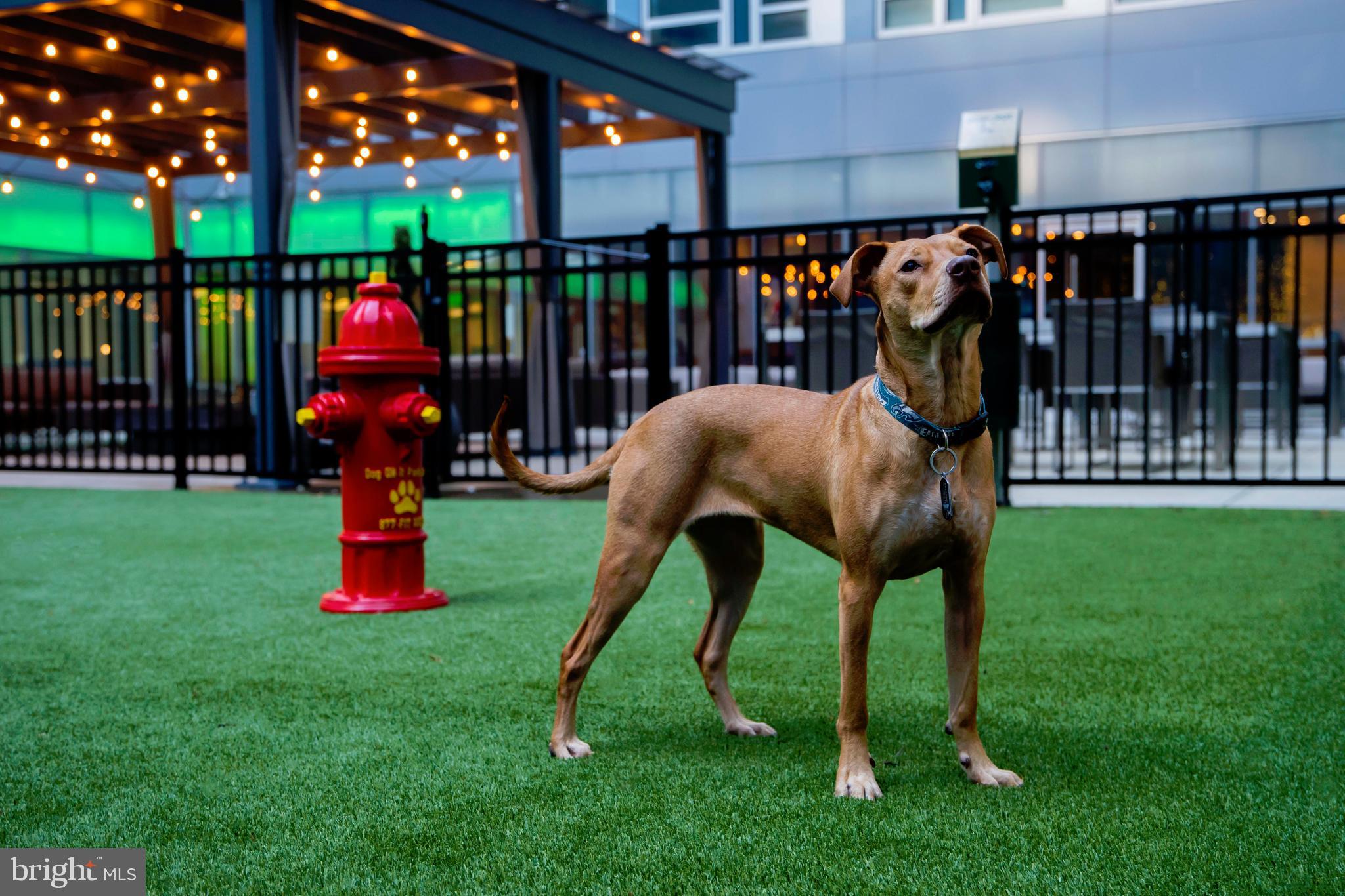 LOGAN SQUARE - Residential Lease