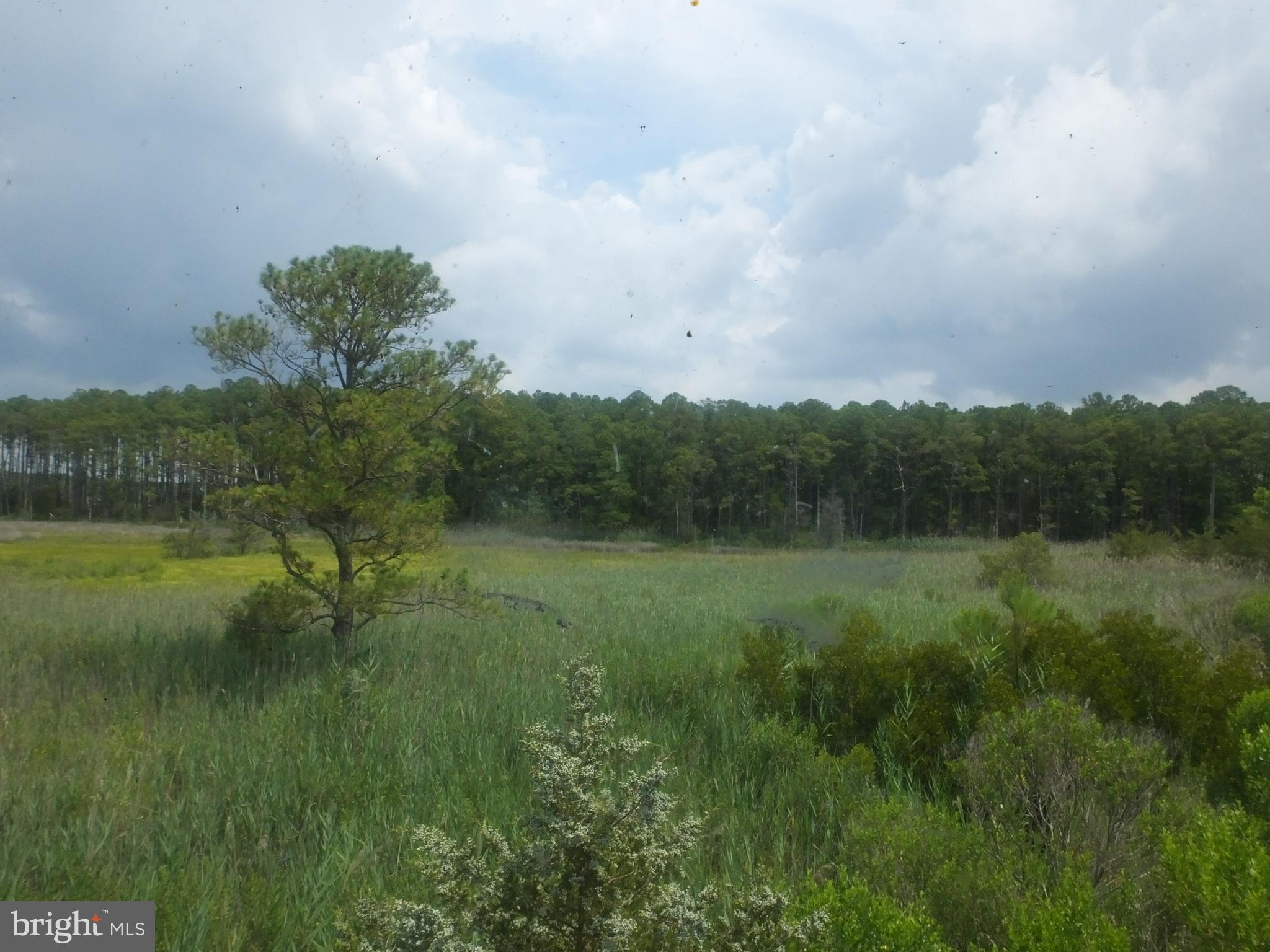 CHURCH CREEK - Residential