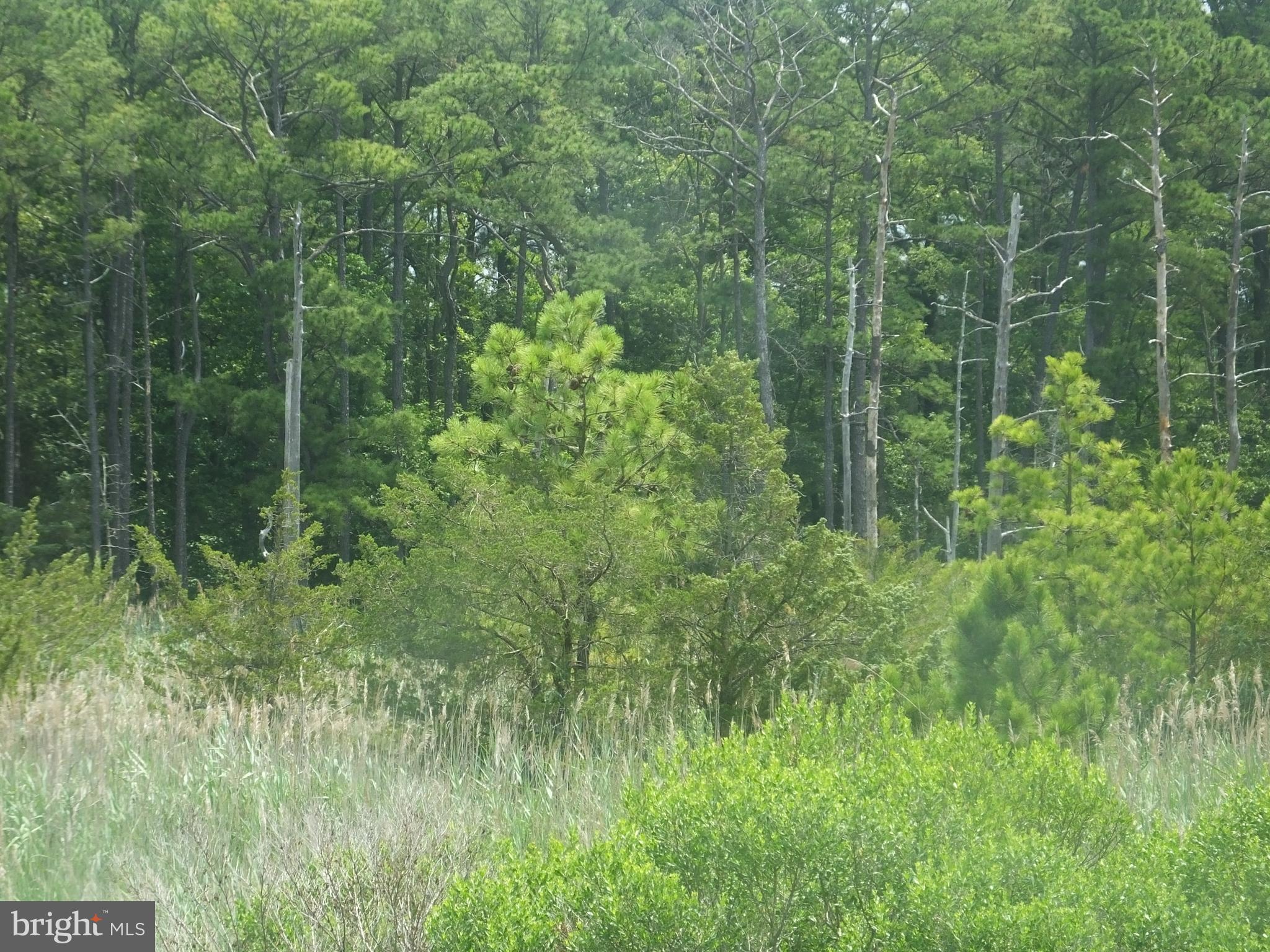 CHURCH CREEK - Residential