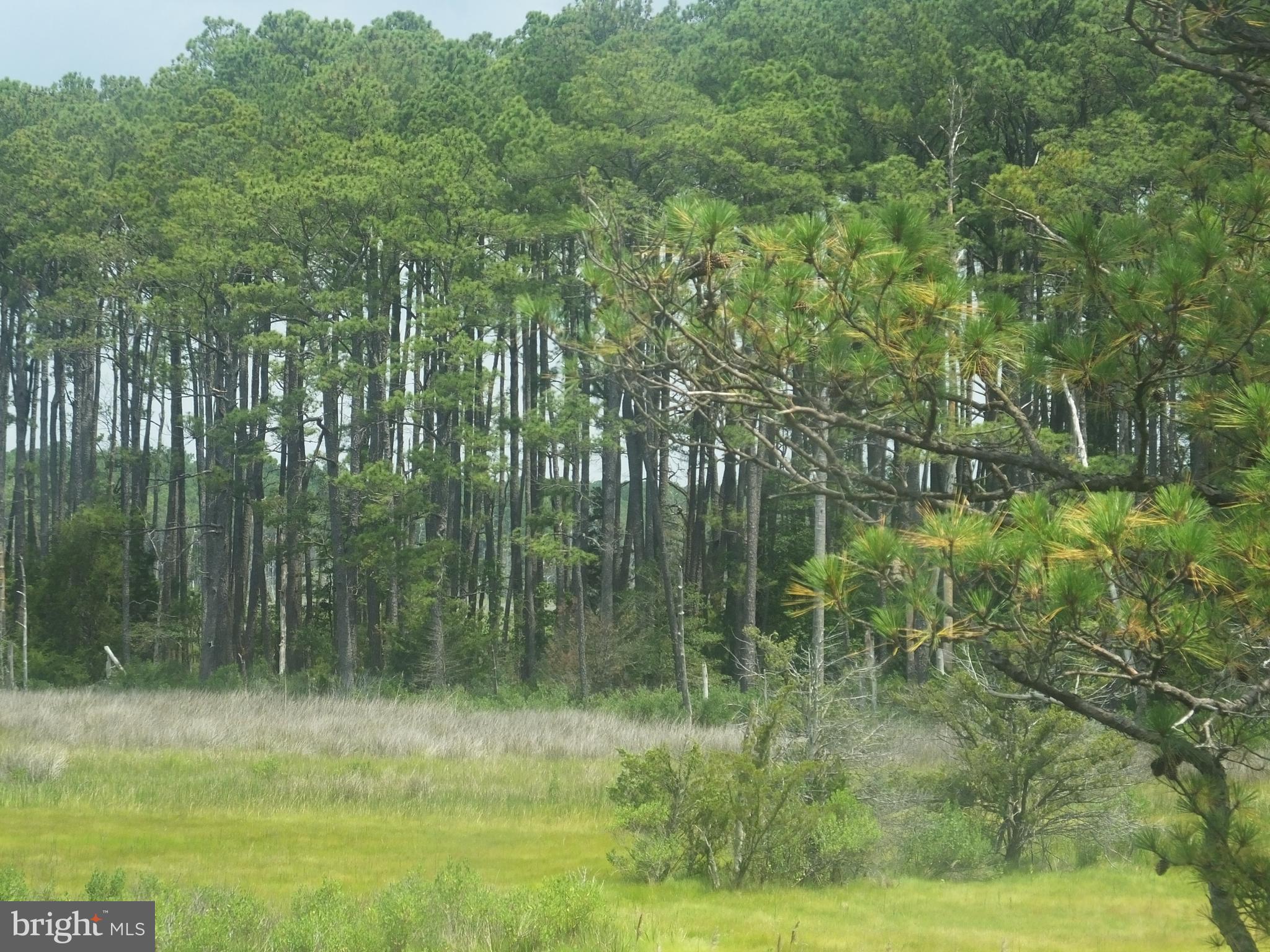 CHURCH CREEK - Residential