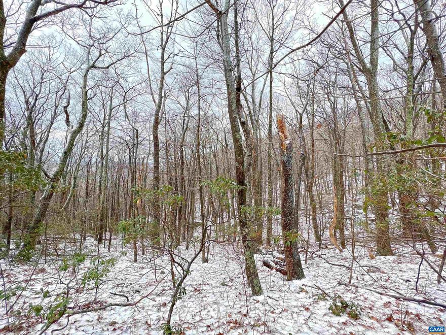 Excellent large .7 acre lot with seasonal views to Reeds Gap for much of the year.  The slope toward the rear of the lot would be excellent for a home with a walk-out basement.  There is a small creek at the rear of the property to add additional charm.  With central sewer and water, underground electric, cable and fiberoptic available, you can have all the luxuries you may desire inside, a nature area at the rear and all the amenities of Wintergreen just a block away.  In many ways this is the perfect homesite and a great value