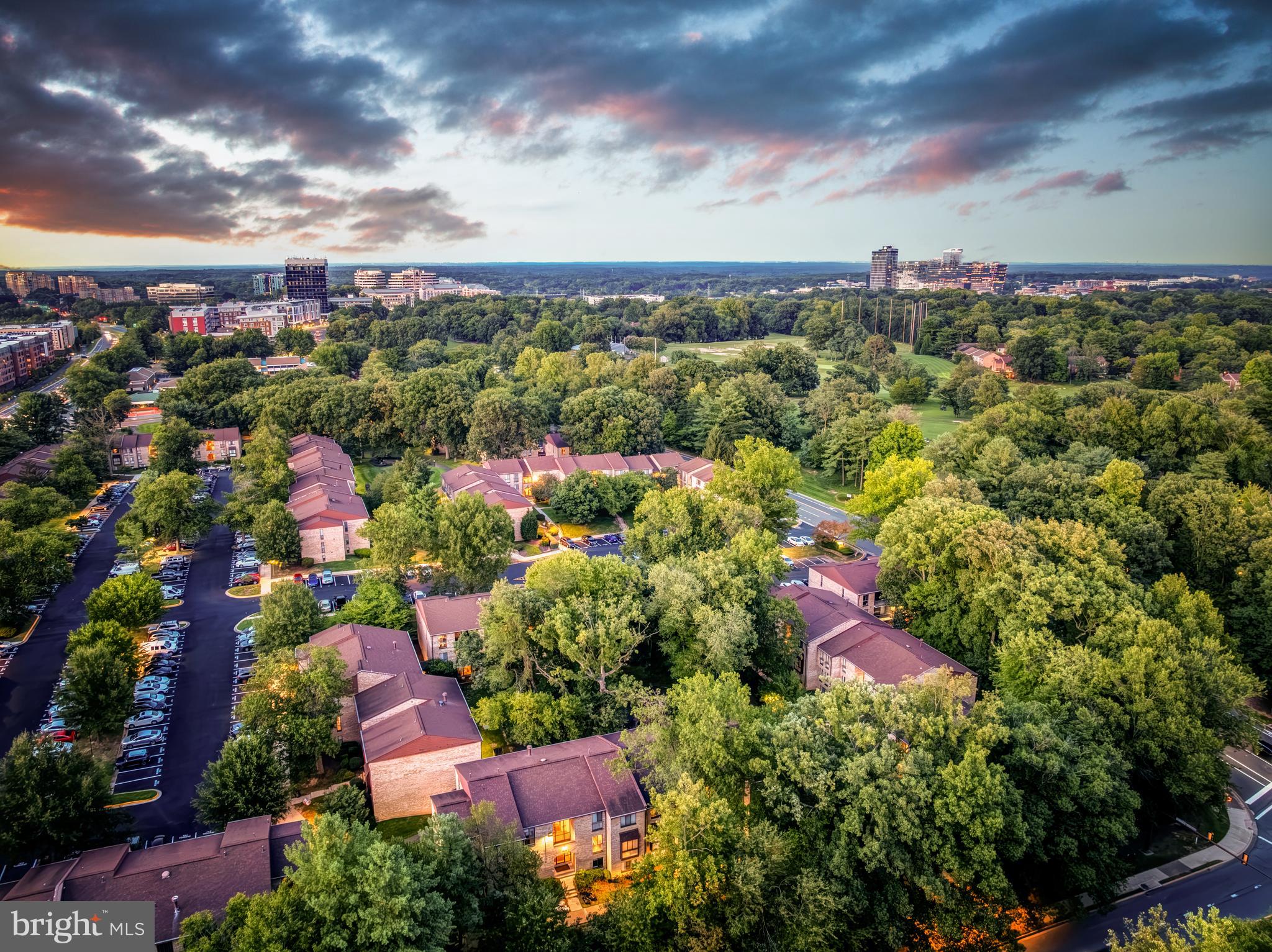 2055 ROYAL FERN COURT 1B