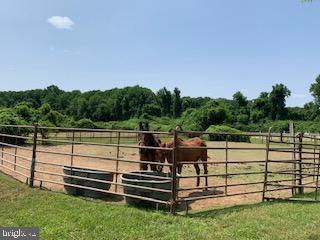 AVENEL - Residential