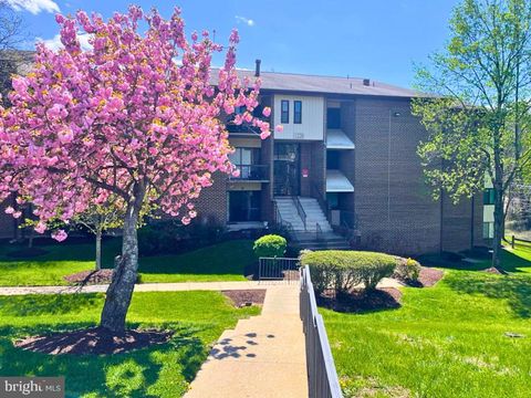 11220 CHERRY HILL ROAD 254 BELTSVILLE MD 20705