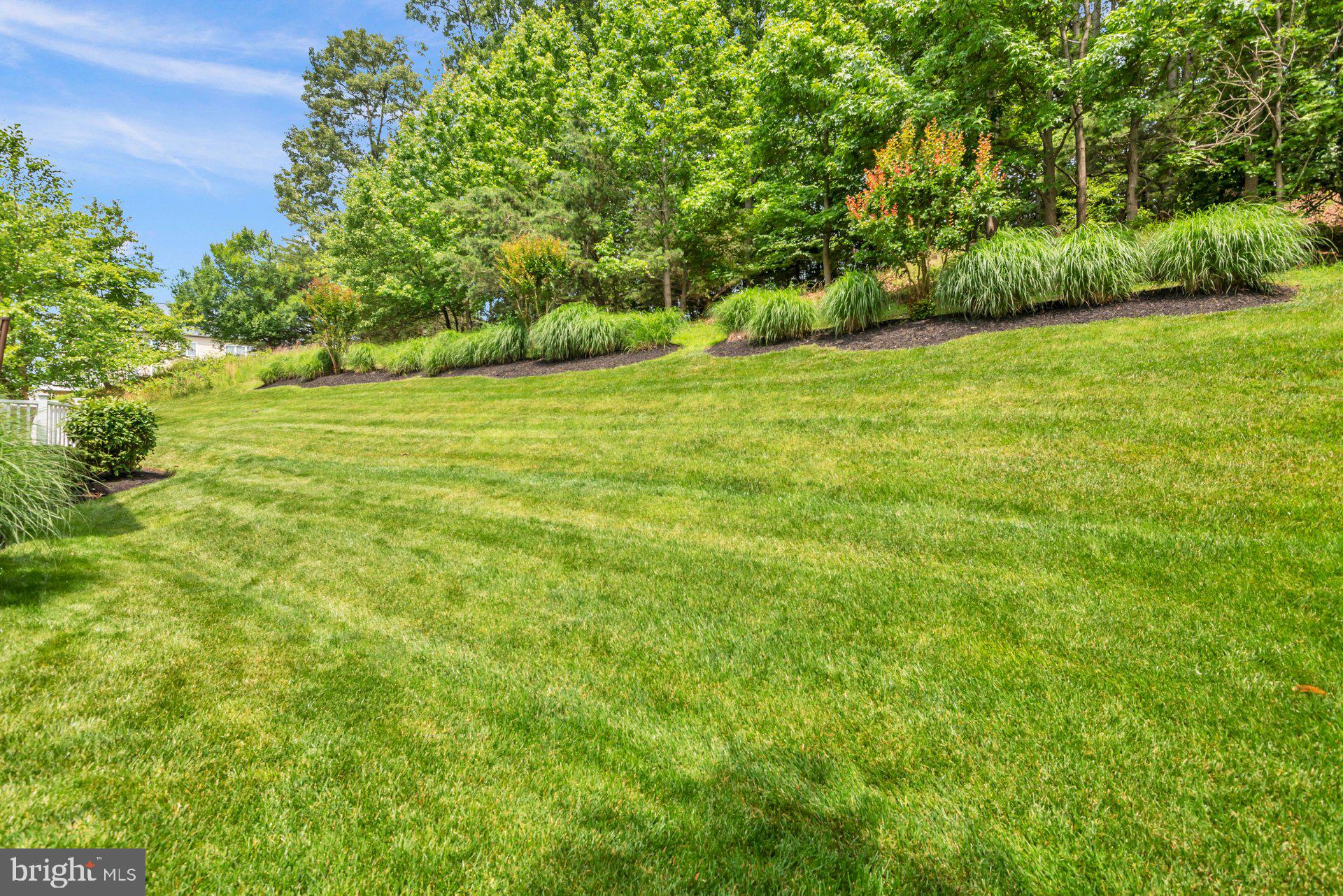 CHAPEL GROVE - Residential