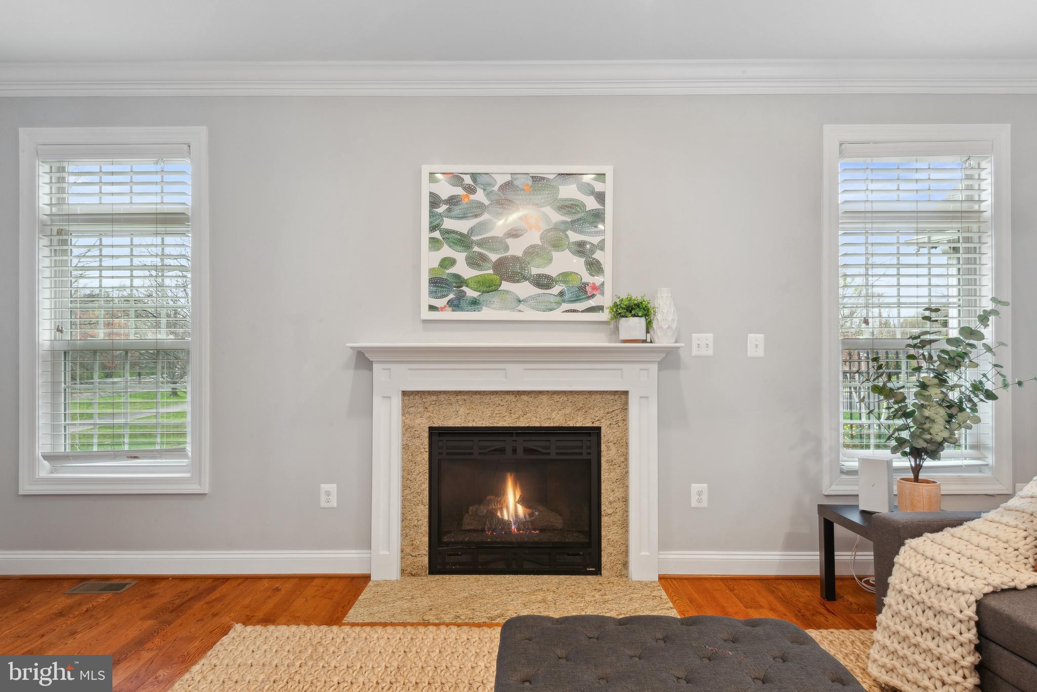 CONNECTICUT AVENUE ESTATES - Residential