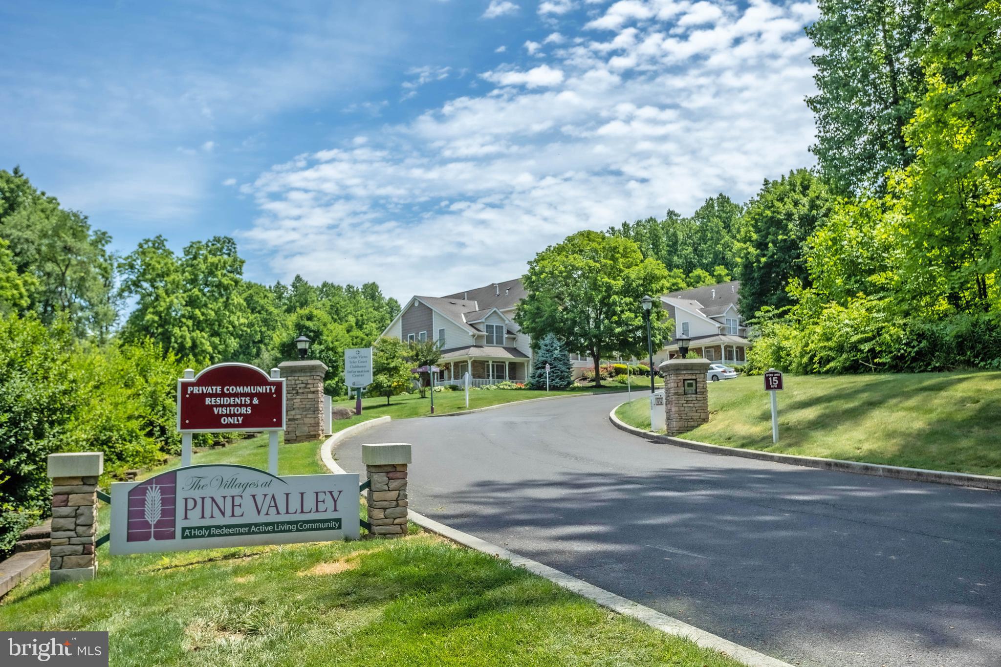 THE VILLAGES AT PINE VALLEY - Residential