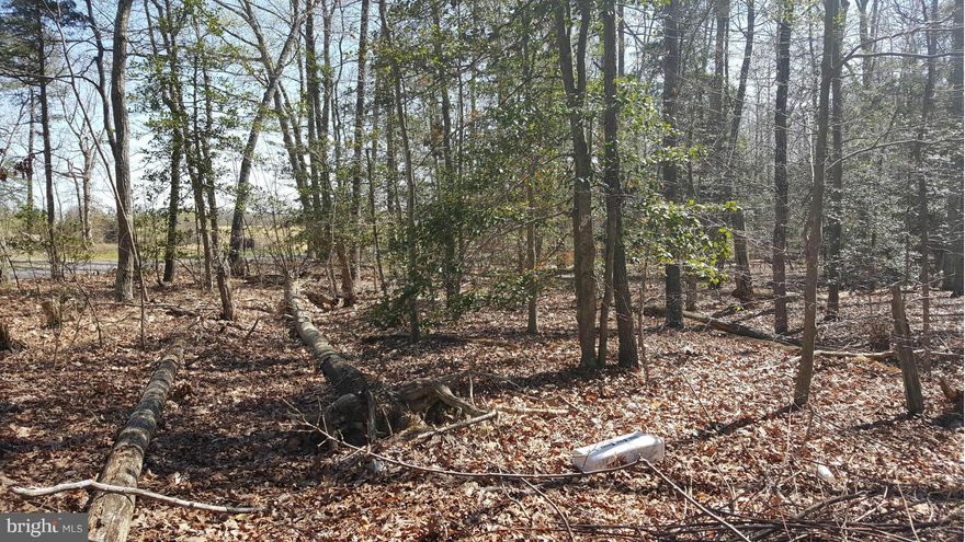 Come home to Caroline County! Perfect lot for your dream home! Wooded 2 acre lot on Paige Road in Woodford. Peaceful country setting, yet minutes from historic downtown Bowling Green, Rt 1 and I 95 .Convenient to Richmond, Fredericksburg and DC, this is the ideal location for the commuter who desires privacy and tranquility. No HOA. Priced below tax assessment of $34,500.