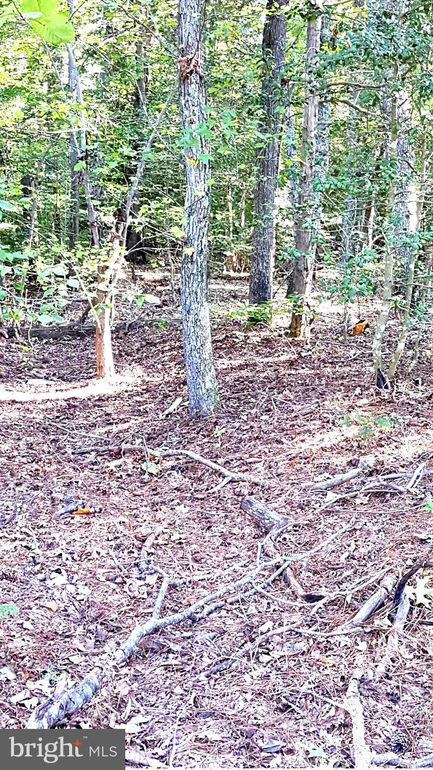 NONE AVAILABLE - Land