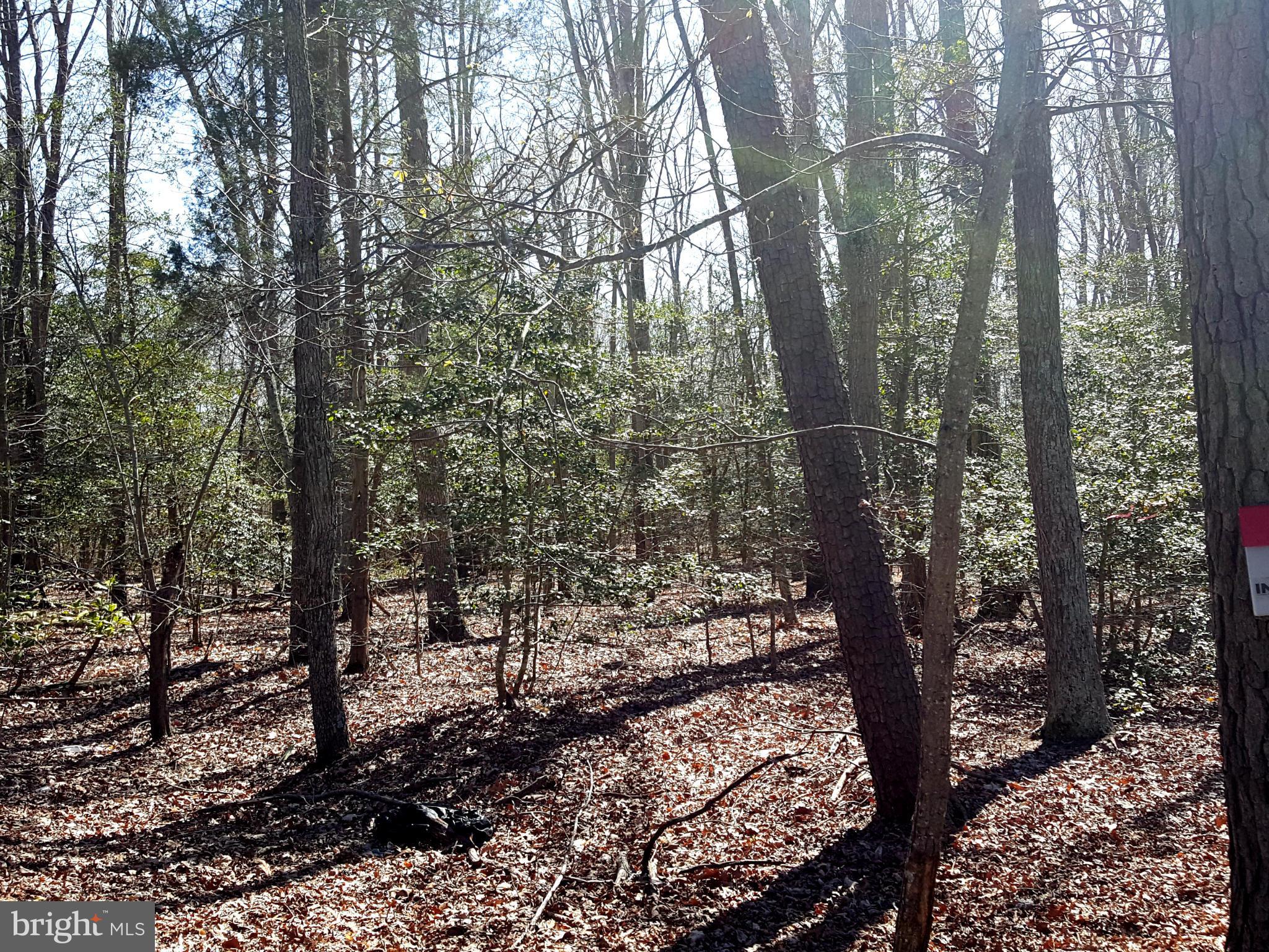 NONE AVAILABLE - Land