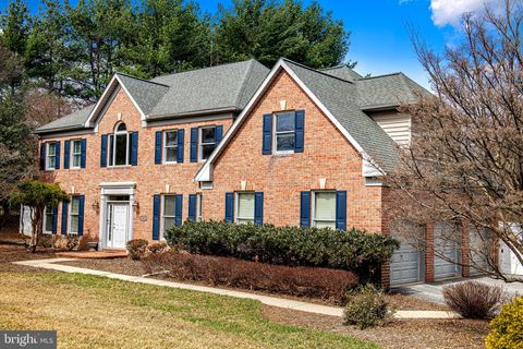 listing image 54