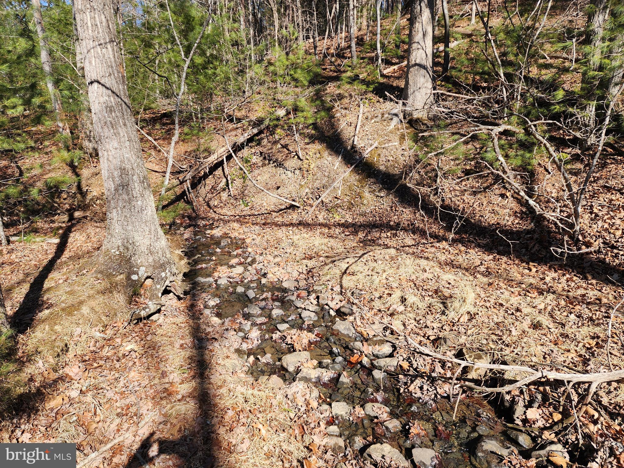 MATHIAS ESTATES - Land