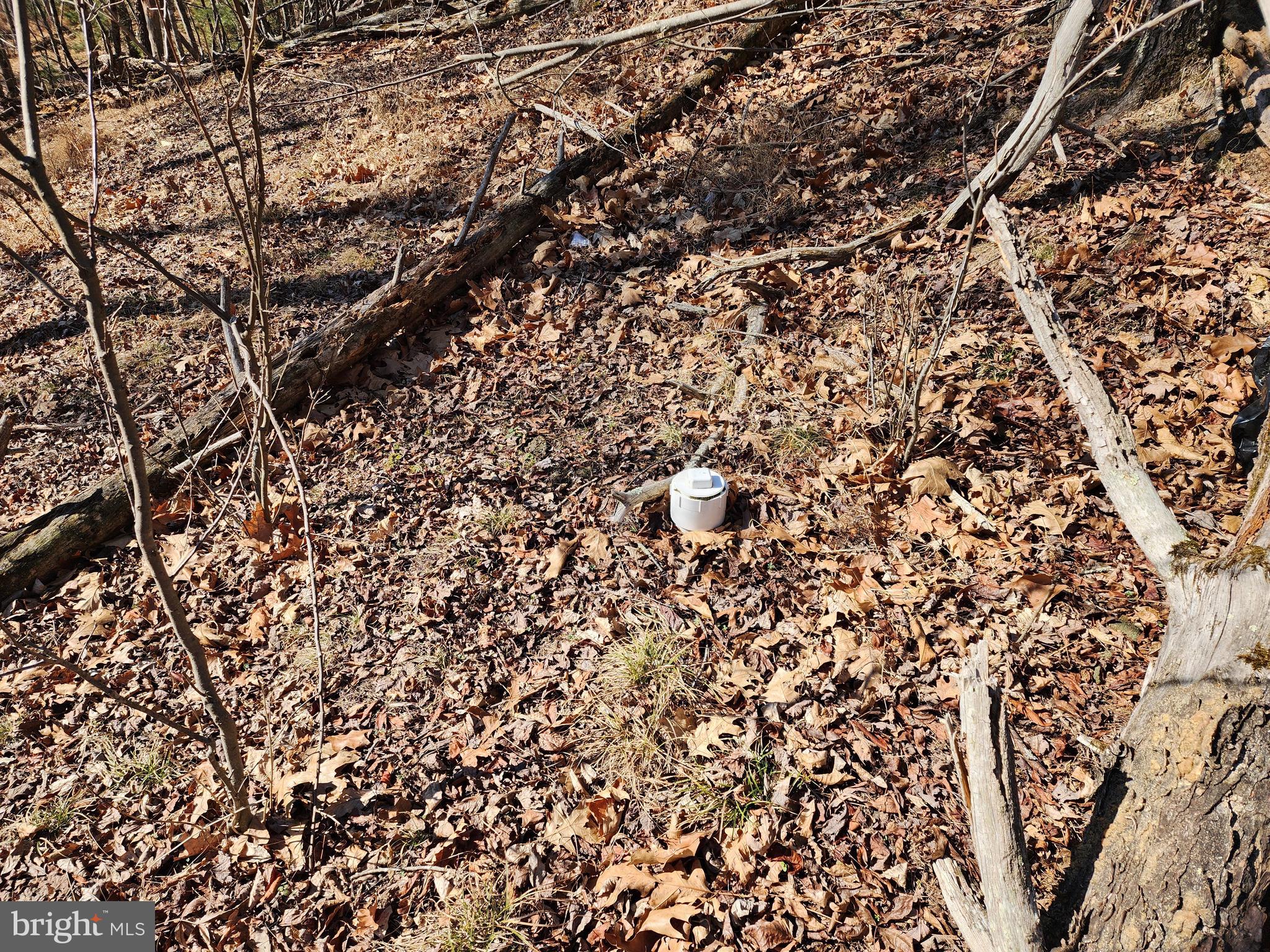 MATHIAS ESTATES - Land