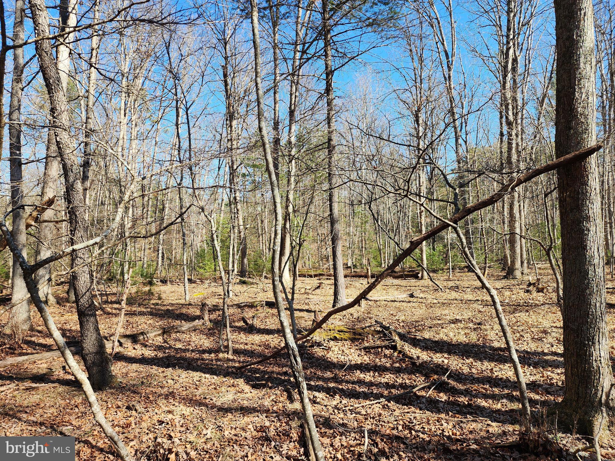 MATHIAS ESTATES - Land