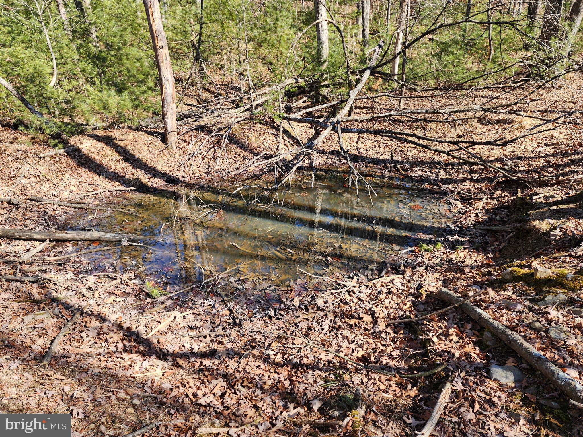 MATHIAS ESTATES - Land