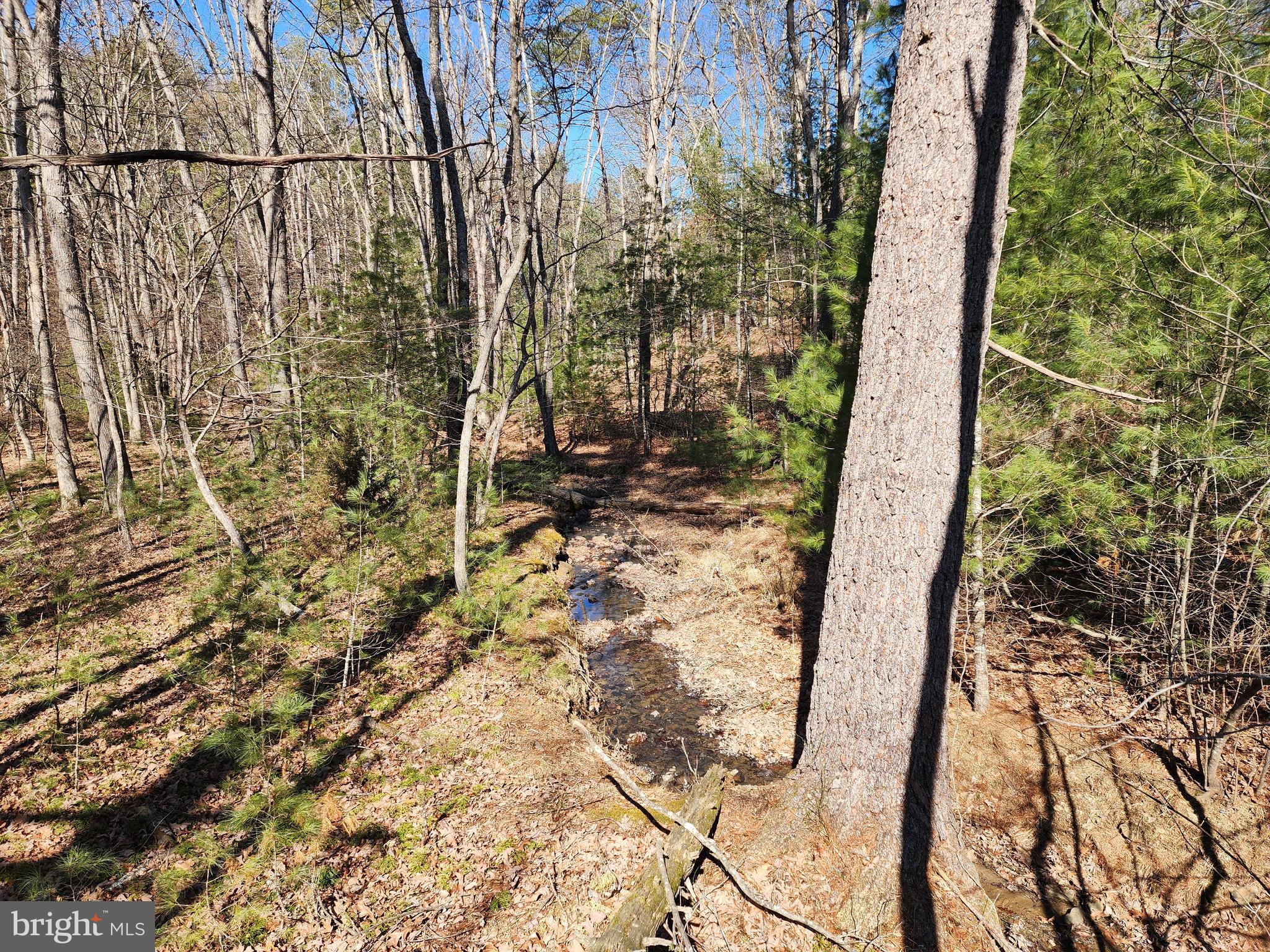 MATHIAS ESTATES - Land