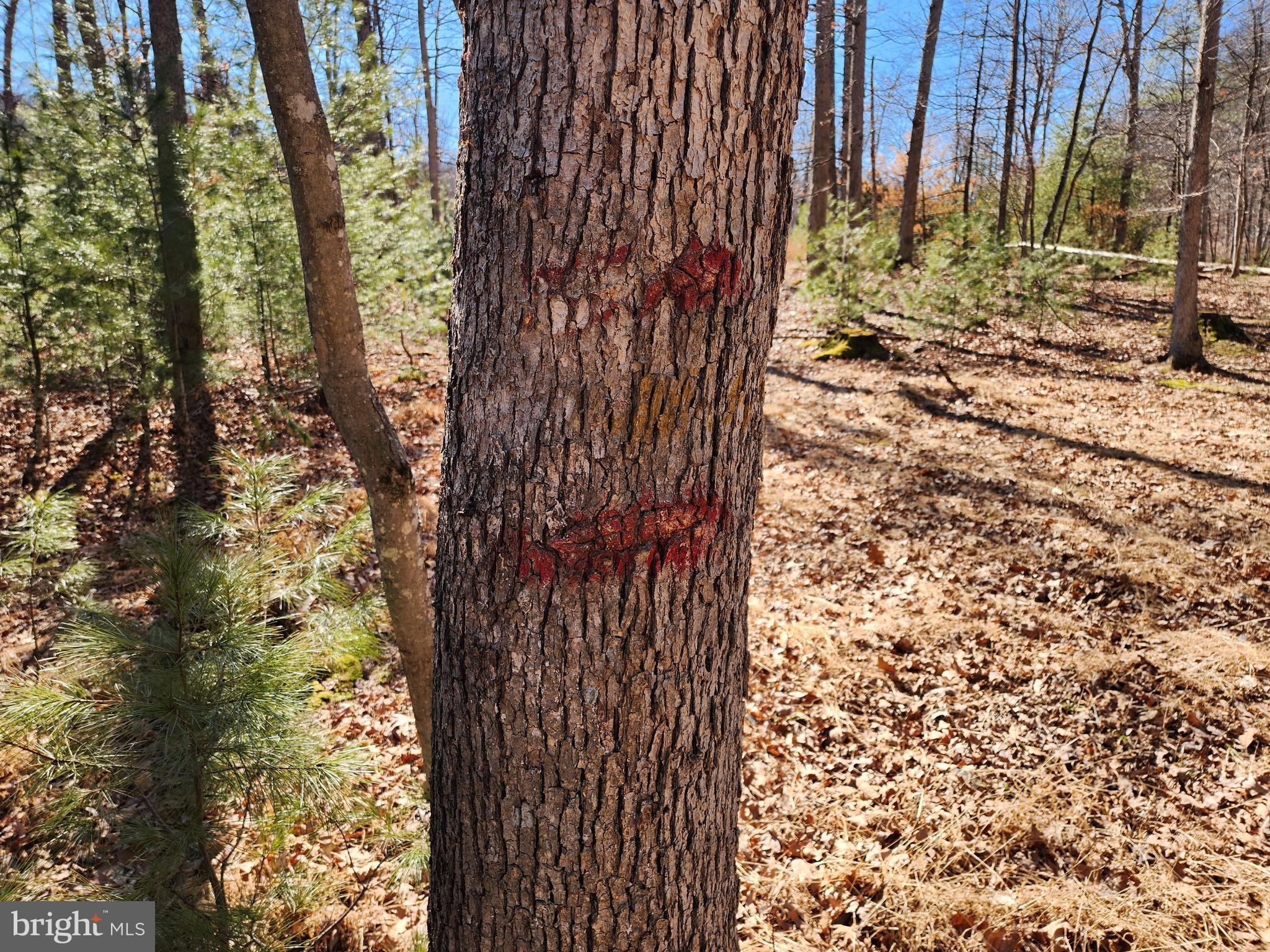 MATHIAS ESTATES - Land