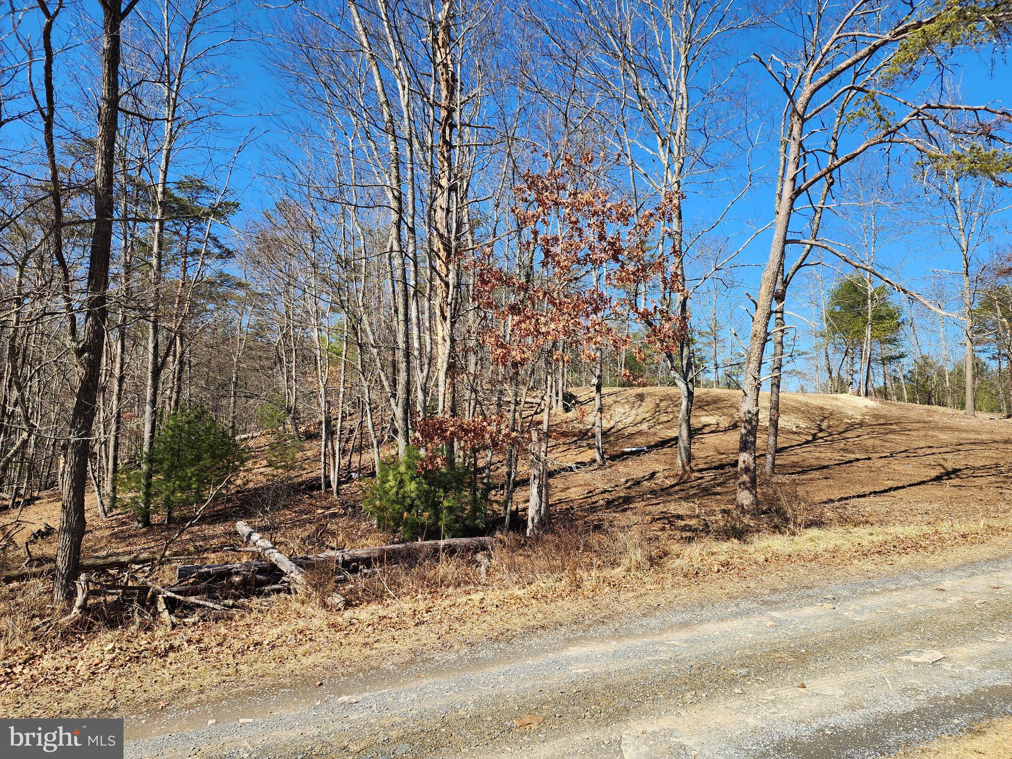 MATHIAS ESTATES - Land