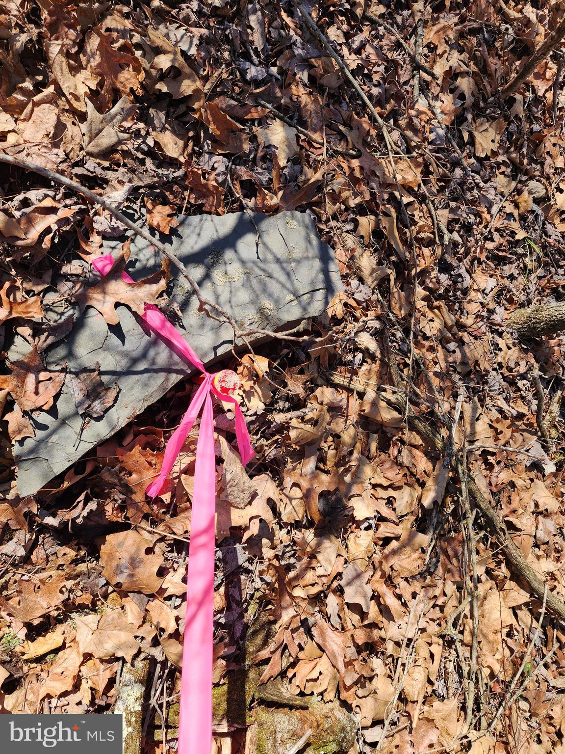 MATHIAS ESTATES - Land