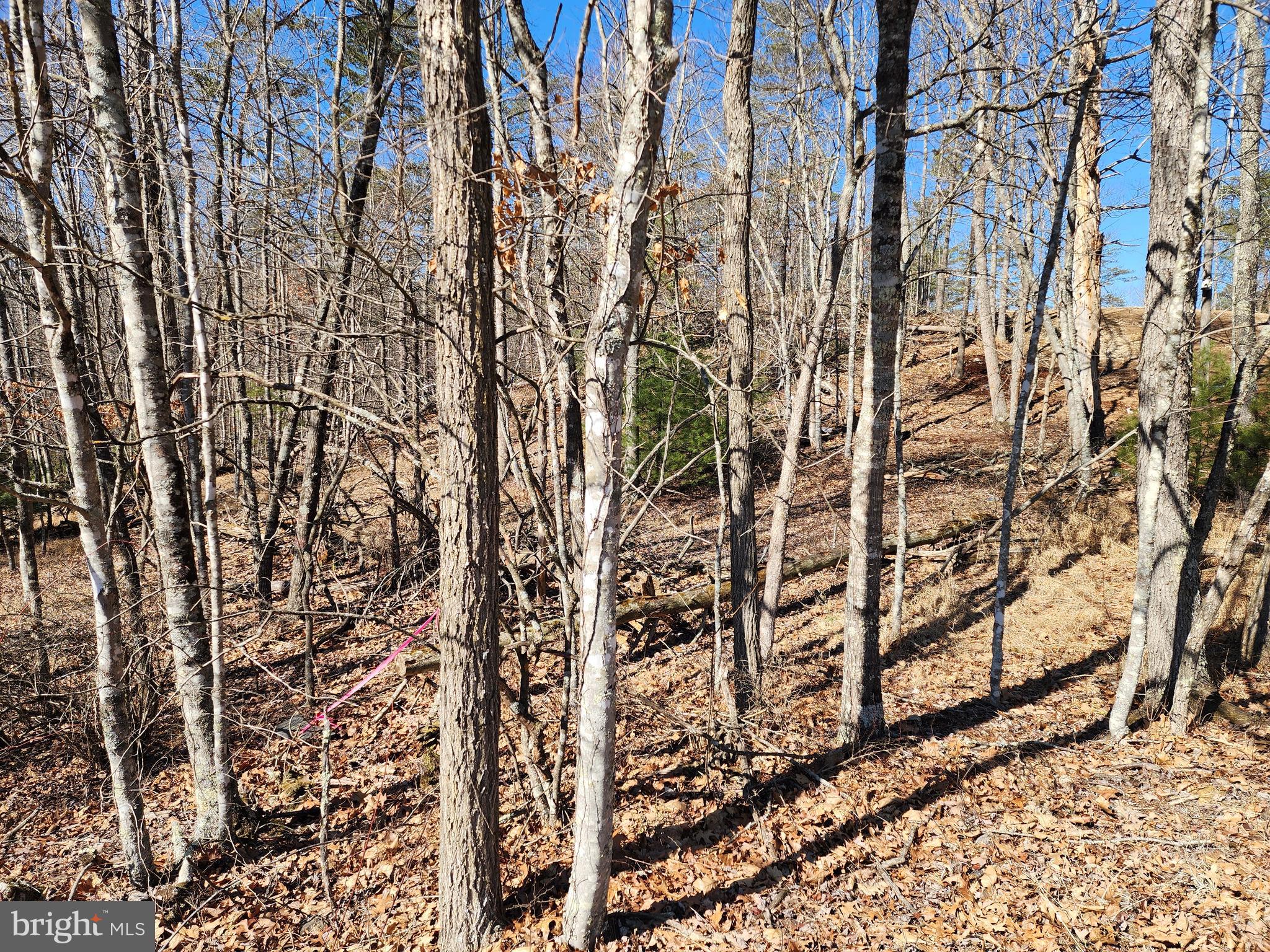 MATHIAS ESTATES - Land